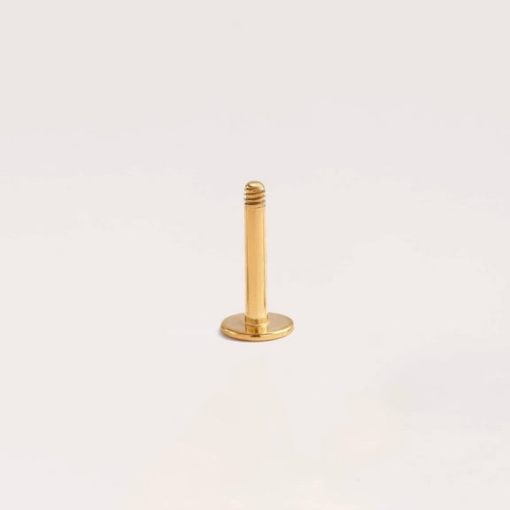 Externally Threaded Labret Bars