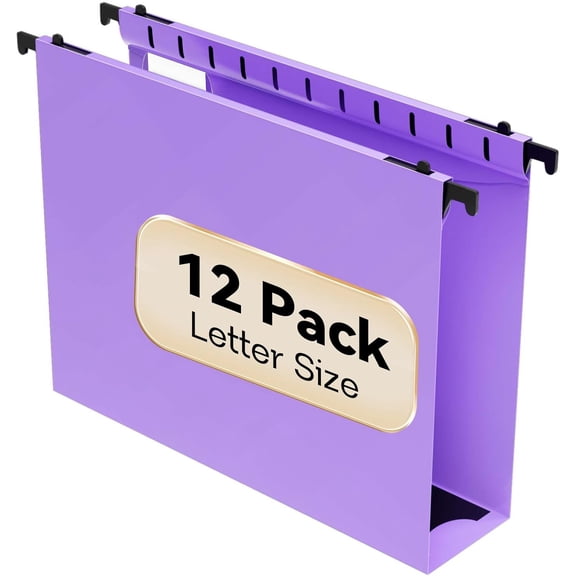Extra Capacity Plastic Hanging File Folder Letter Size,12 Pack Reinforced Hang Folders with Heavy Duty 2 Inch Expansion,Durable Hanging Organizer Designed for Bulky Files, Medical Charts
