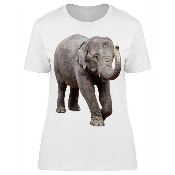 Extra Cute,baby Elephant T-Shirt Women -Image by Shutterstock, Female XX-Large