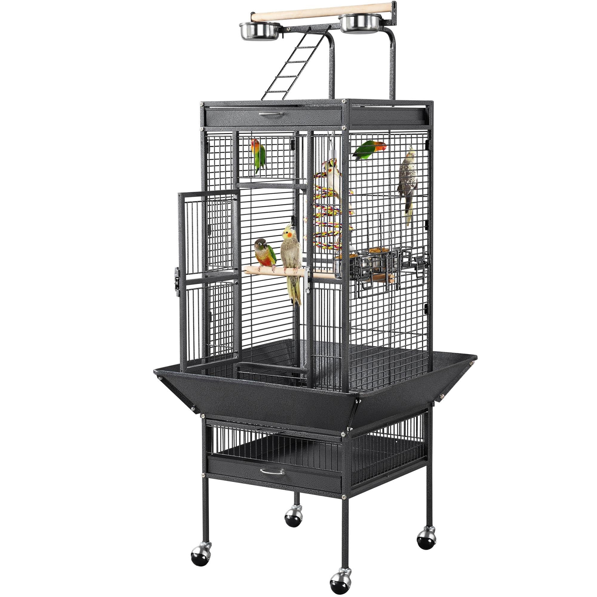 A closer look at Quaker Parrot Bird Cage Minimums