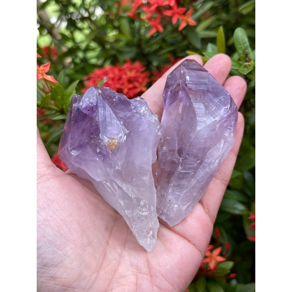 Extra Large Amethyst Rough Points, 2.5 - 3.25" Raw Amethyst Points