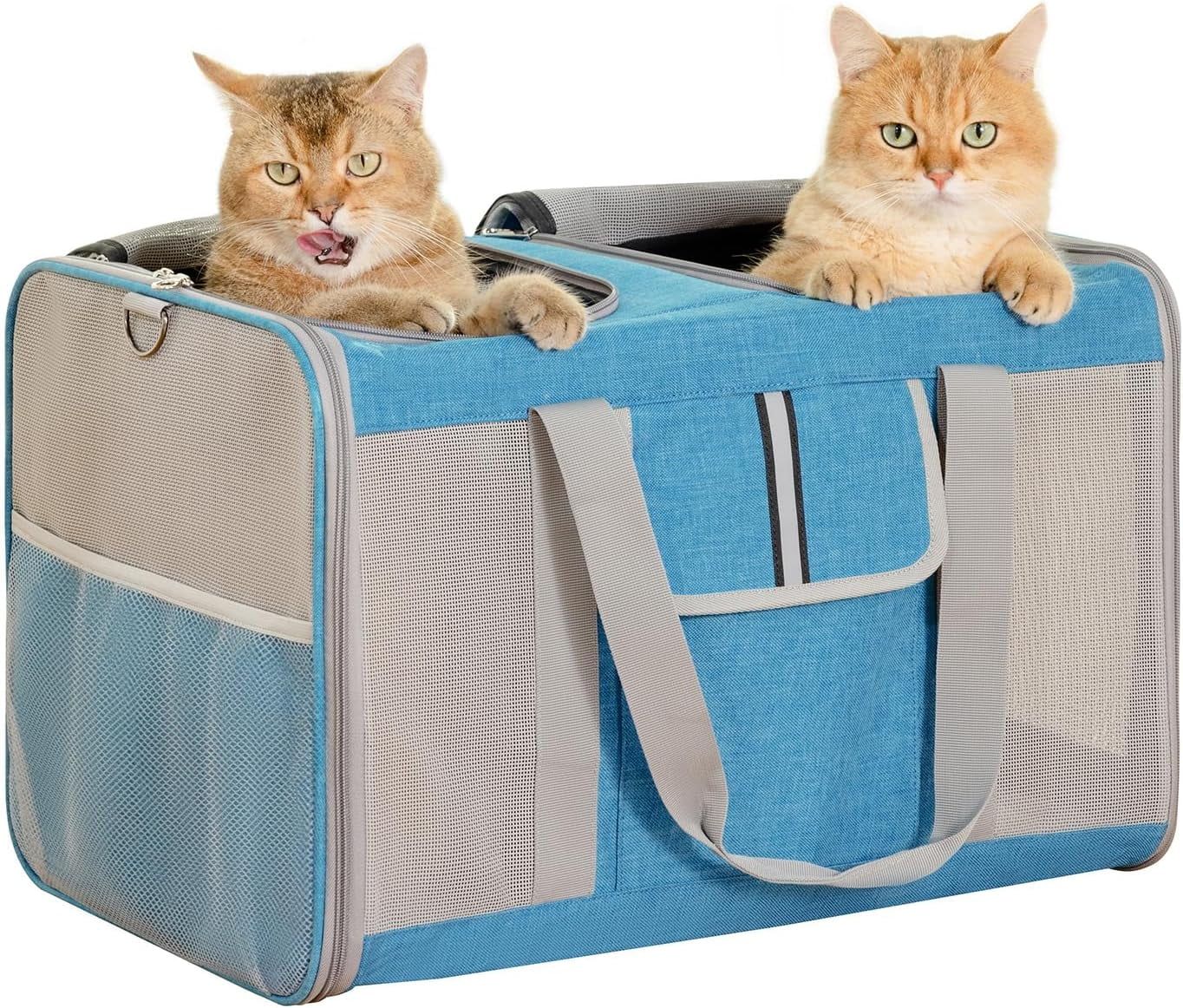 Extra Large Cat Carrier for 2 Cats, 24x14x16in Pet Carriers for Cat and ... - Design-Ing Safe Cat Carriers With Ventilation