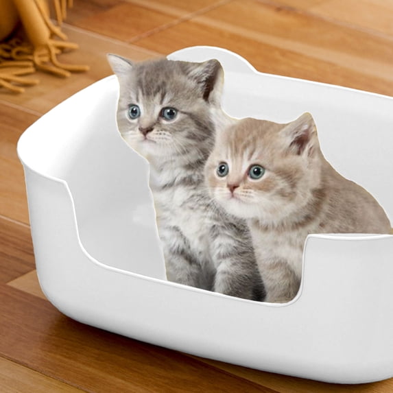 Extra Large Cat Litter Box with White Color,High Sided Litter Box for Big Cats,Cat Litter Box for Multiple Cats,Jumbo Cat Litter Box,Giant Kitty Litter Box,Anti-Splashing,Easy to Clean