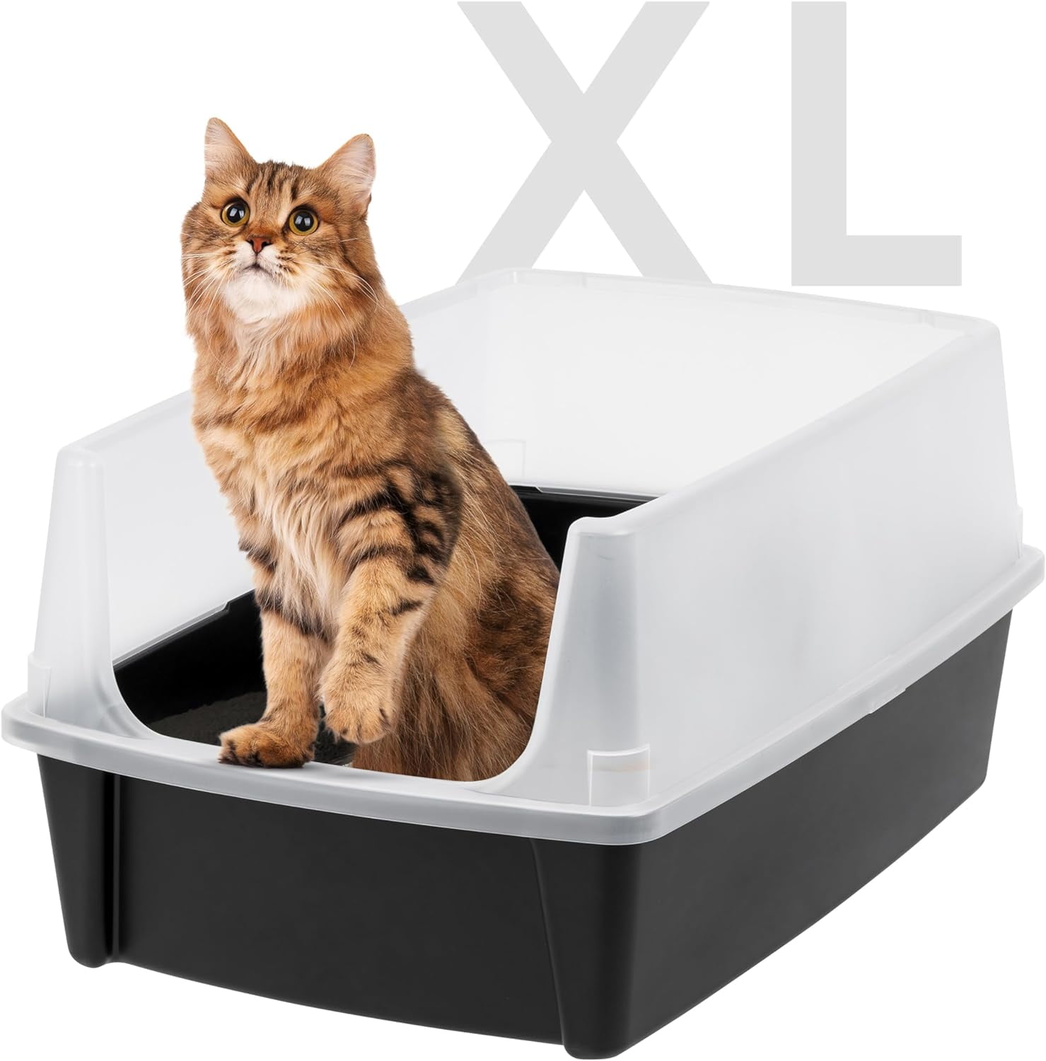 Extra Large Black Plastic Cat Litter Box with Scatter Shield