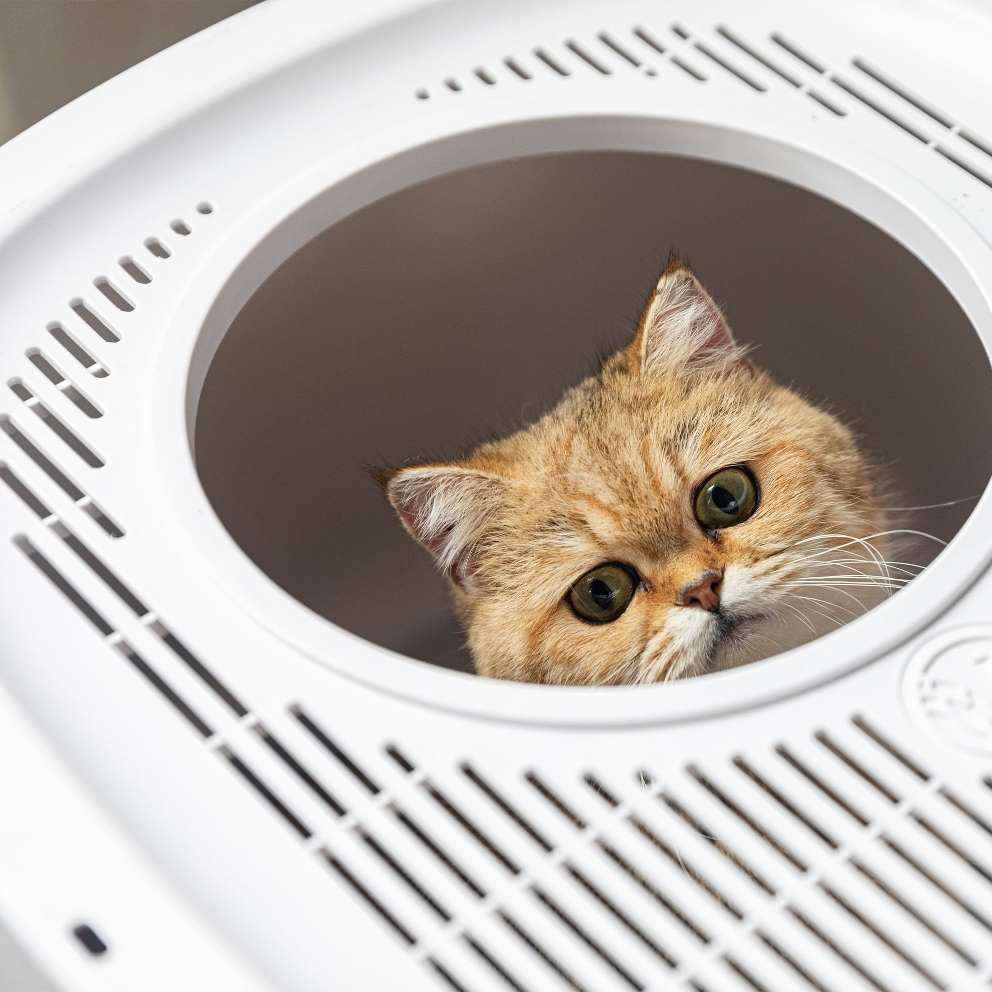 Extra Large White Polypropylene Cat Litter Box with Scoop