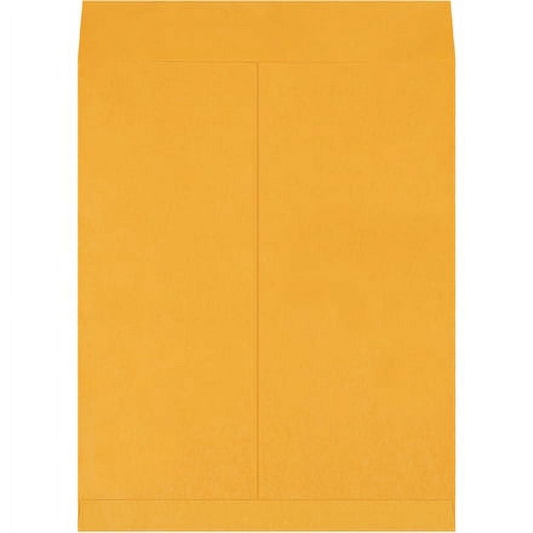 ExtraLarge Dimensions Pack of 100 Brown Kraft Jumbo Envelopes (16 x