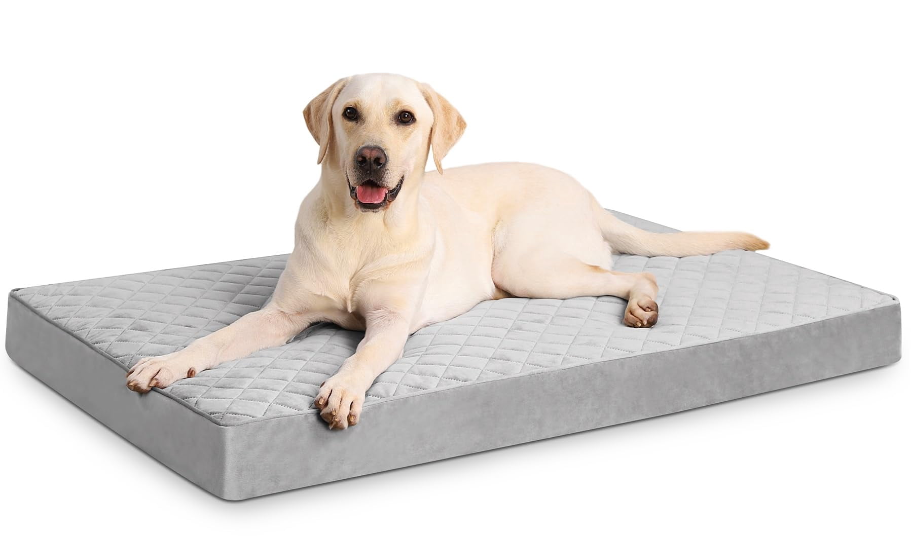 Extra Large Dog Bed Light Gray 41"L x 27"W x 3.5"Th Orthopedic Waterproof with Removable Cover