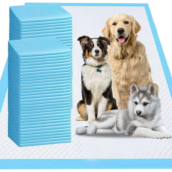Extra Large Dog Pee Pads, 60 Pads 31"x36" Disposable Training Pads, Puppy Pads with high Absorbency and Leak-Proof Protection for House Training Cats,Rabbits,Dogs Leak-Proof Dog Pee Pads Extra Large