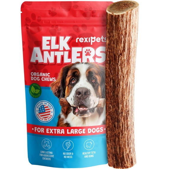 Extra Large Elk Antlers for Very Large Dogs - Grade A Dog Antler Chews - Natural, Long-Lasting Treats for Aggressive Chewers - Naturally Shed in USA…