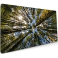 thumbnail image 1 of Extra Large Gaming Mouse Pad with Stitched Edges, Extended Full Desk Mousepad Gaming Non Slip Rubber Base Mice Pads for Work & Game & Office & Home (XXXL Forest Mousepad 35.5'''' x 16''''), 1 of 6