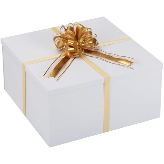 Extra Large Gift Box with Lid 20x20x10 Inches, Large White Gift Box Giant Gift Boxes with Lids for Presents Packaging for Birthday Surprise, Christmas, Anniversaries, Wedding Party
