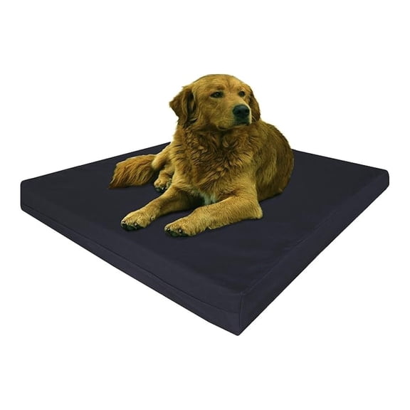 Extra Large Human Mattress Grade Orthopedic Gel Infused Memory Foam Dog Bed, Strong Waterproof Liner with Durable Washable Canvas Cover, 47X29X4 Inch, Black (Fit 48X30 Crate)