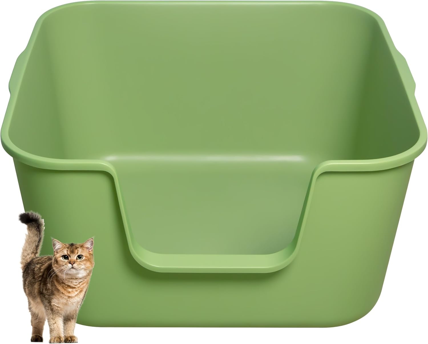 Low Entry Litter Box