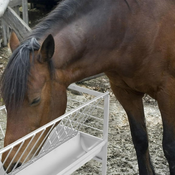 Extra-Large Livestock Feeder for Goats/Sheep - Durable Metal Feed Trough with Chew-Proof Design & Deep Basin