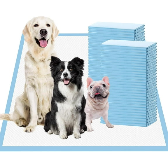 Extra Large Pee Pads for Dogs, 24"x24" 40 Counts Puppy Pads XL, Puppy Pee Pads Super Absorbent & Leak-Proof, Jumbo Disposable Training Pads, Wee Wee Pads for Dogs, Potty Pads, Doggy Pads