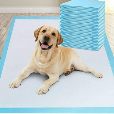 Extra Large Pet Training Pads Leak-Proof and Super Absorbent Dog Pee Pads, Disposable Fast Drying Pet Diaper For German Shepherd And Golden Retriever Mountain Dogs