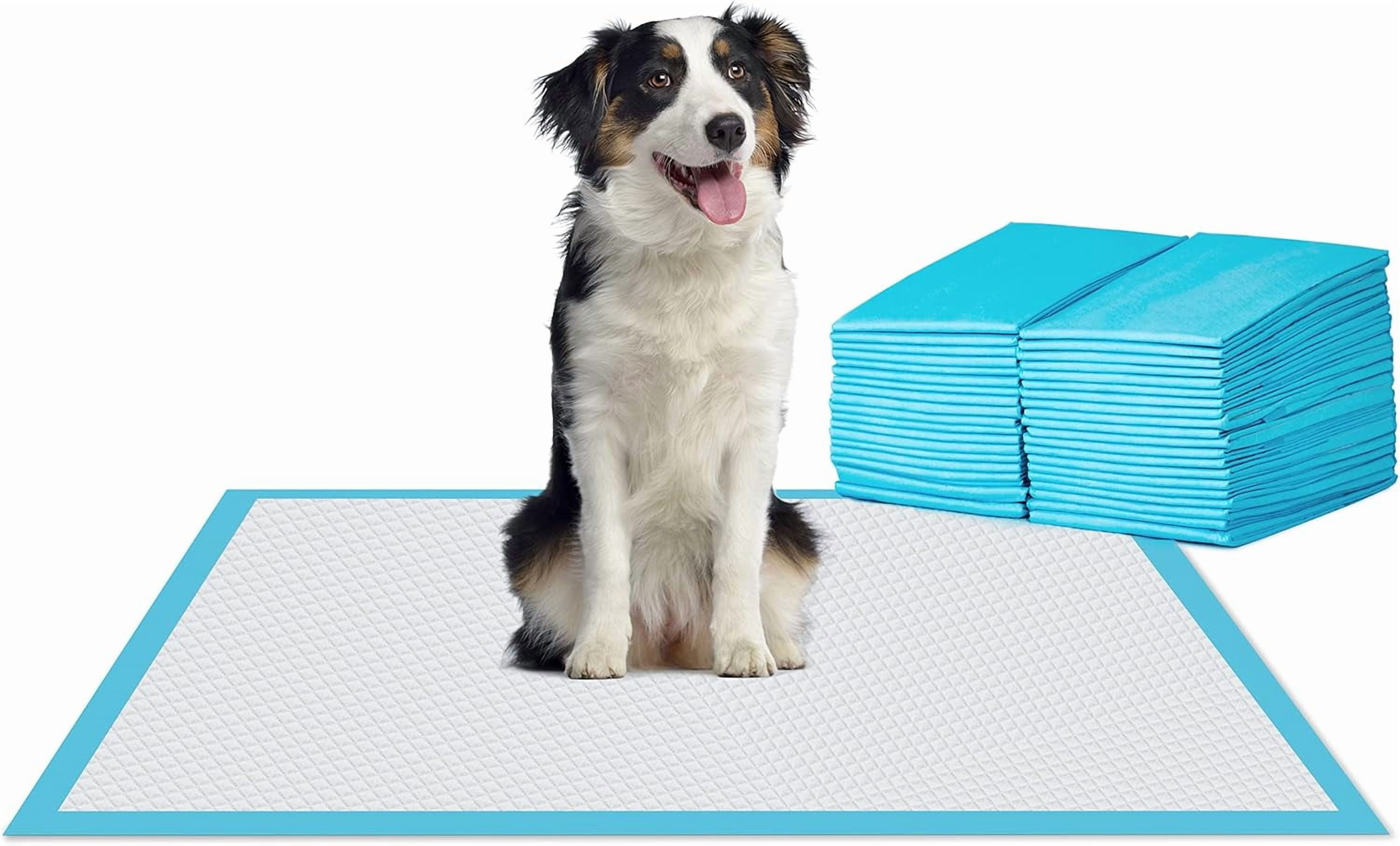 Extra Large Pet Training and Puppy Pads Pee Pads for Dogs 24"x36" Super Absorbent & Leak-Proof, 20 Count