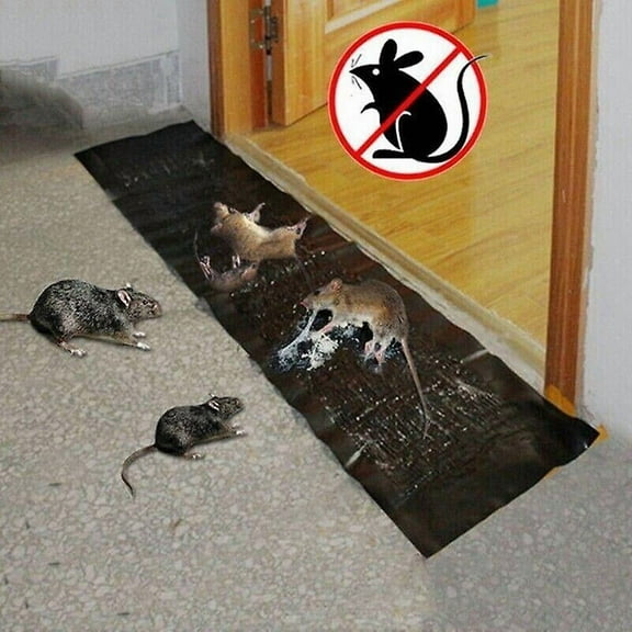 Extra Large Rat Sticky Mouse Pads Glue Pad for Mice and Rats