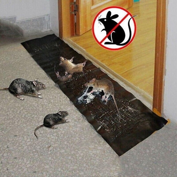 Extra Large Rat Sticky Mouse Pads Glue Pad for Mice and Rats