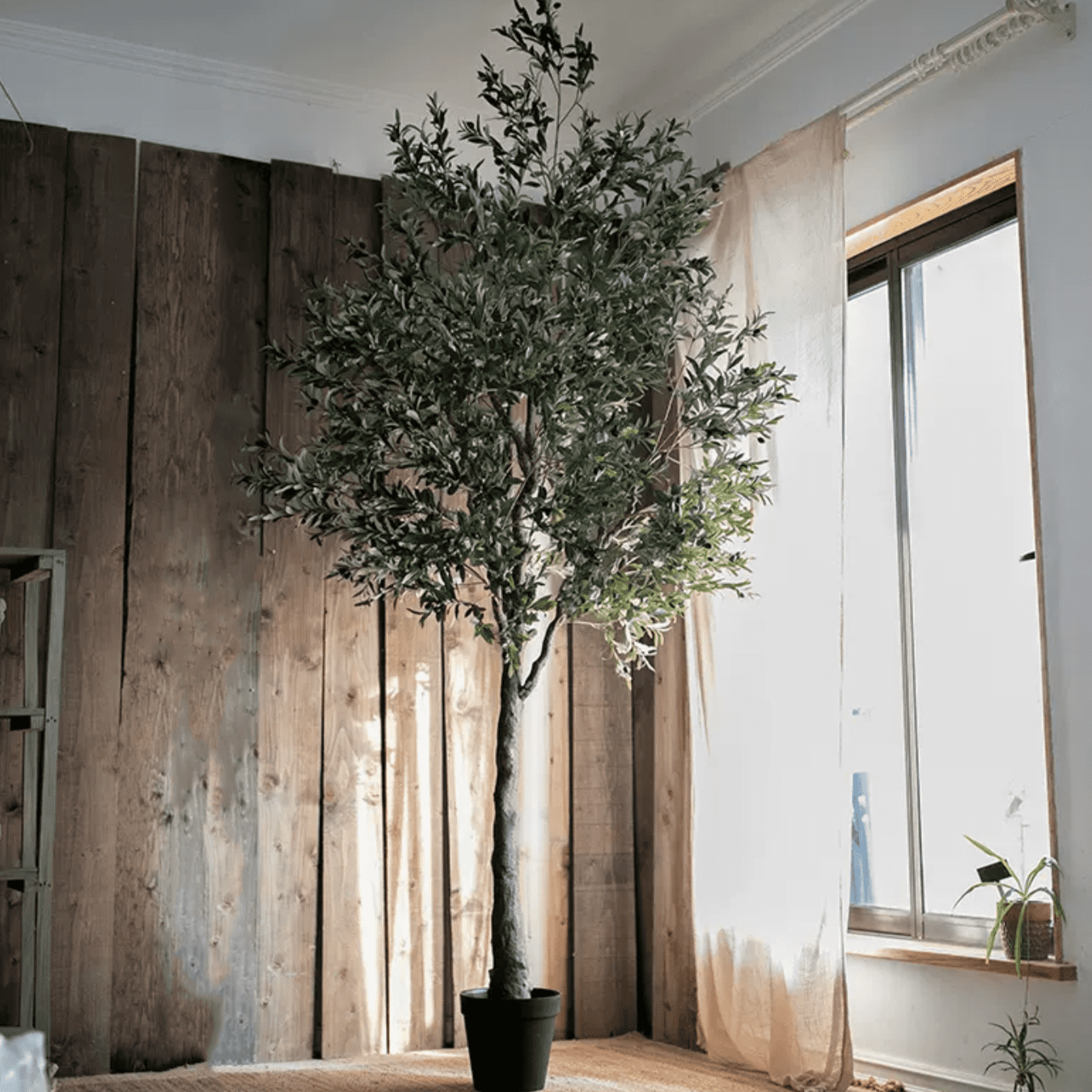 Extra Large Tall Olive Tree 118" Tall - Walmart.com