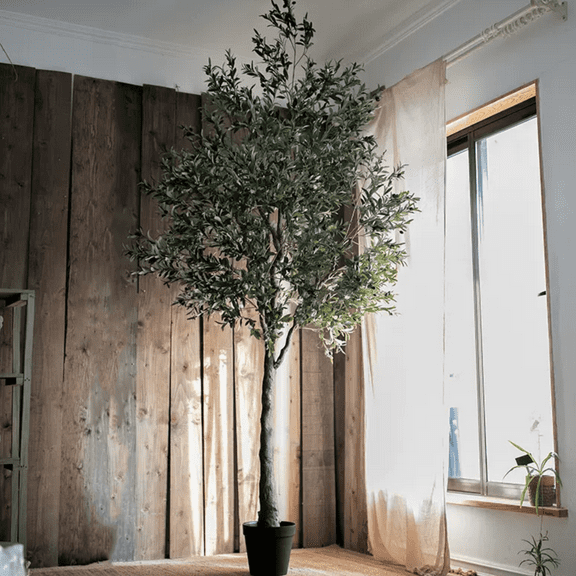 Extra Large Tall Olive Tree 118" Tall