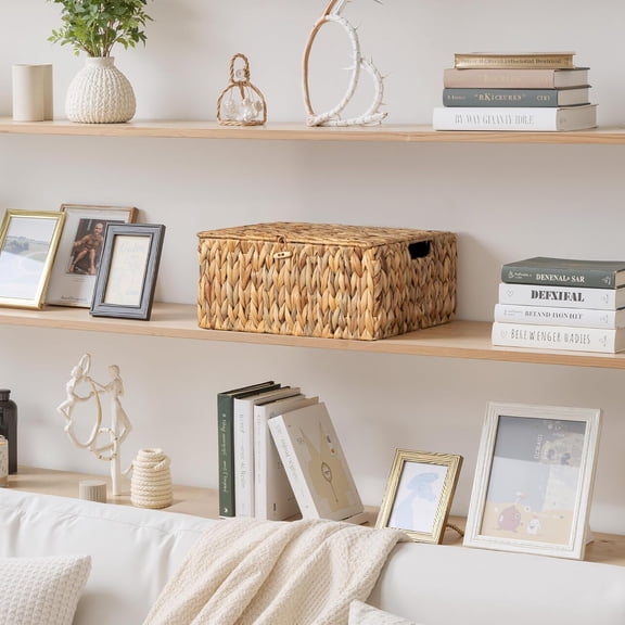 Extra Large Wicker Baskets with Lid for Organizing, Water Hyacinth Storage Baskets for Shelves, Decorative Box with Built-in Handles, Natural, 1 Pack