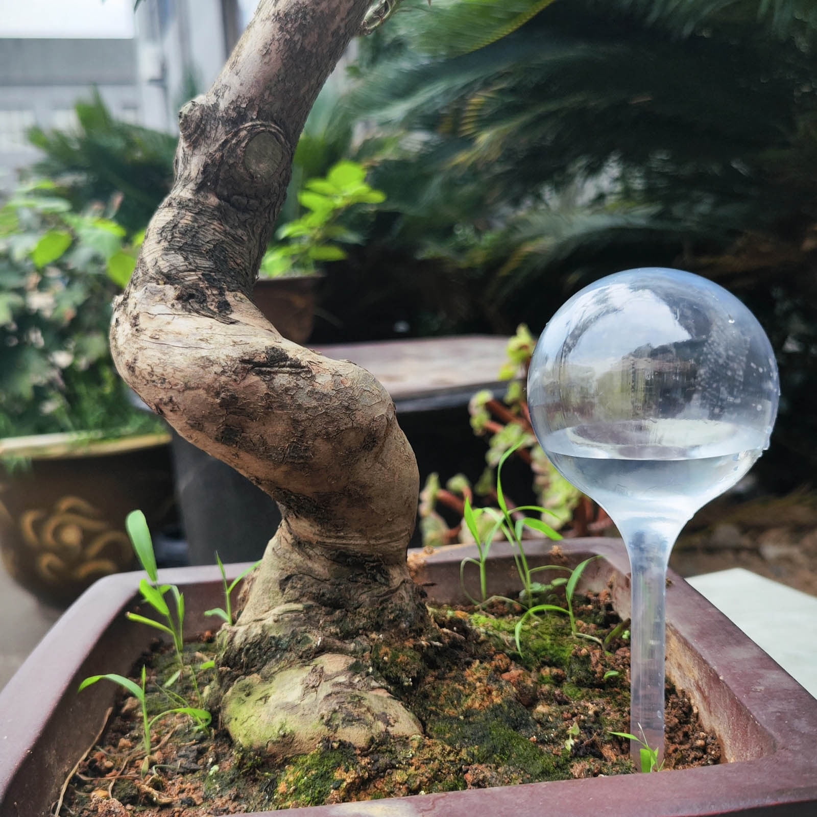 Extra Portable Hot Water Bottle Gooseneck Kettle Copper The Pour Candy