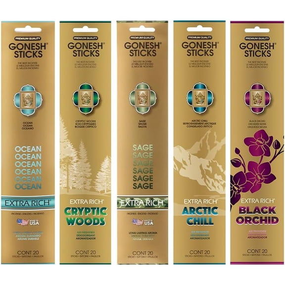Extra Rich Scented Incense Sticks Variety Pack - Non-Toxic 10 Slow Burn Aromatic Sticks - Ocean, Cryptic Woods, Sage, Arctic Chill, Black Orchid - 5 Packs of 20