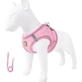 thumbnail image 1 of Extra Small Dog Harness and Leash Set, No Pull Dog Harness for Small Dogs, Breathable Mesh Reflective Adjustable Puppy Vest Harness for Walking Training Pink 1 Pack, 1 of 4