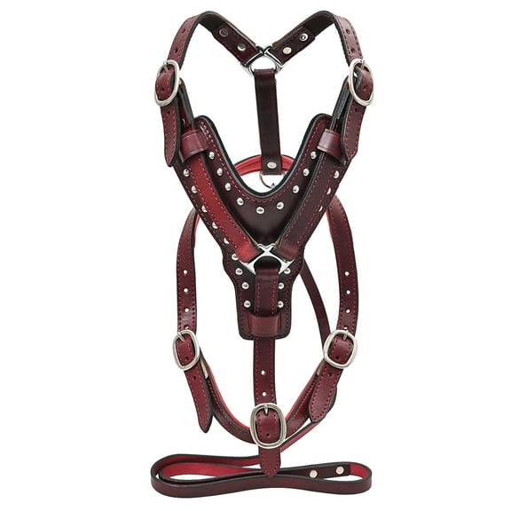 Extra Small Leather Dog Harness Mahogany Genuine Matching Leash Hilason