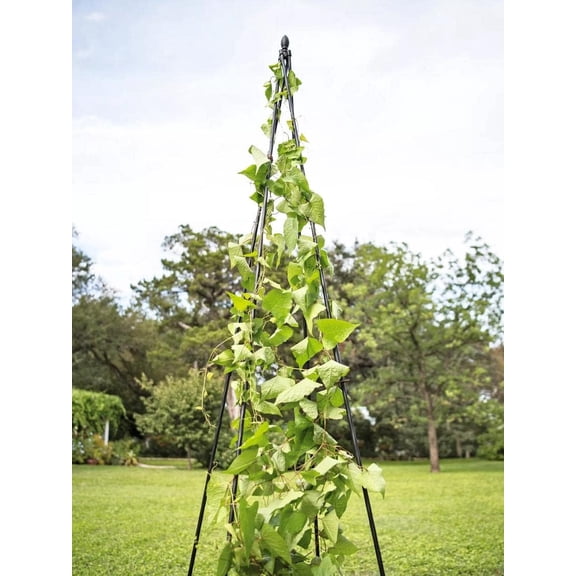 Extra Tall Garden Teepee Trellis | Sturdy Plant Support for Peas, Beans, Squash, and Other Garden Climbing Vine Plants | Quick and Easy Setup - 87" H