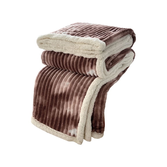 Extra Warm Blankets for Winter Double Layer Thickened Lamb's Wool Milk Fleece, 150x100cm/59x39In, Extra Soft Blanket for Sofa Bed Nap