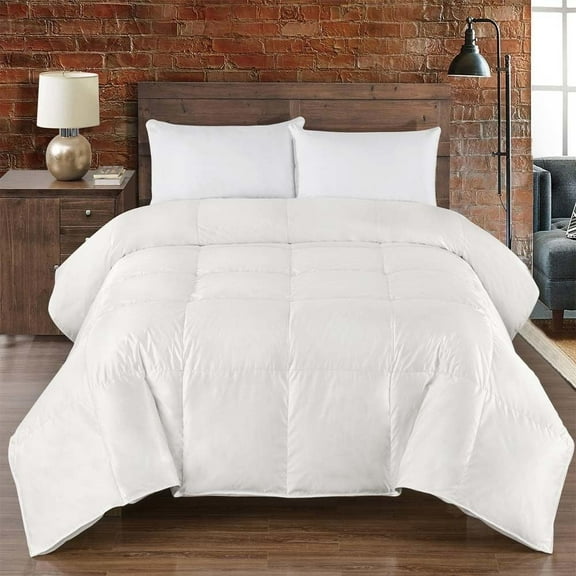 Extra Warm Silk Blended Goose Down Comforter (Full-Queen, 90x90) 48-Ounces of Fill, Solid Pattern Heavy Goose Down Duvet Insert