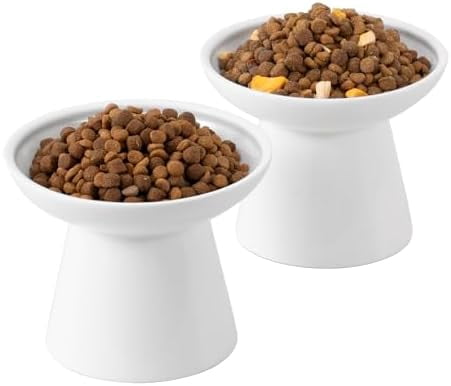 Extra Wide Elevated Ceramic Cat Bowl, 6.2" Shallow Dish for Whisker Fatigue Relief, 5" Height for Easy Feeding, Durable Raised Cat Food Bowls, Pack of 2, White