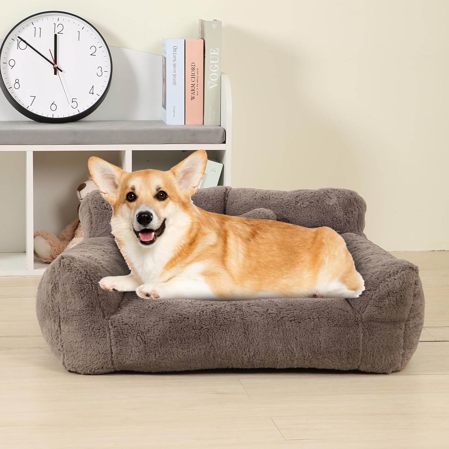 Photo inspiration: Picture Idea: Extra Wide Fluffy Cat Bed Small Dog Bed With Bone