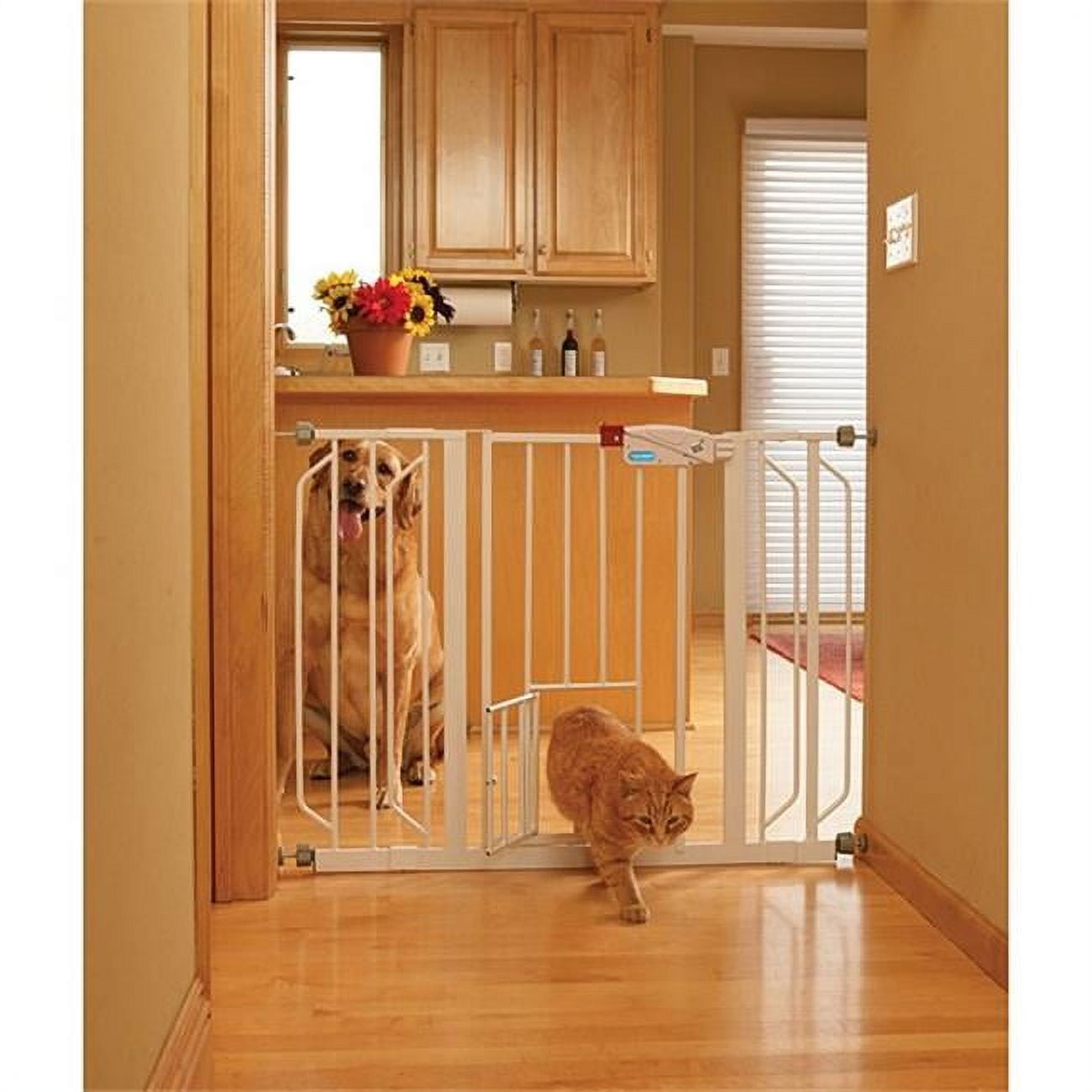 Walk thru gate with pet door 2025