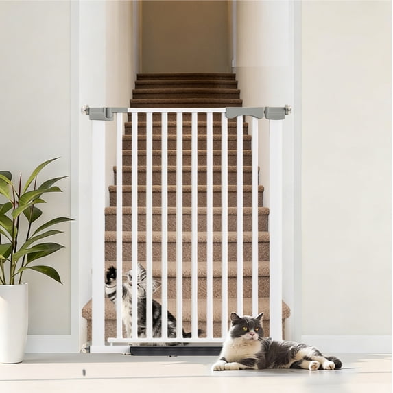 Extra tall cat door (41 inches), 30-32 inch wide auto-closing pet door with extension kit; drill-free pressure-install dog door suitable for living rooms, hallways, and studies.