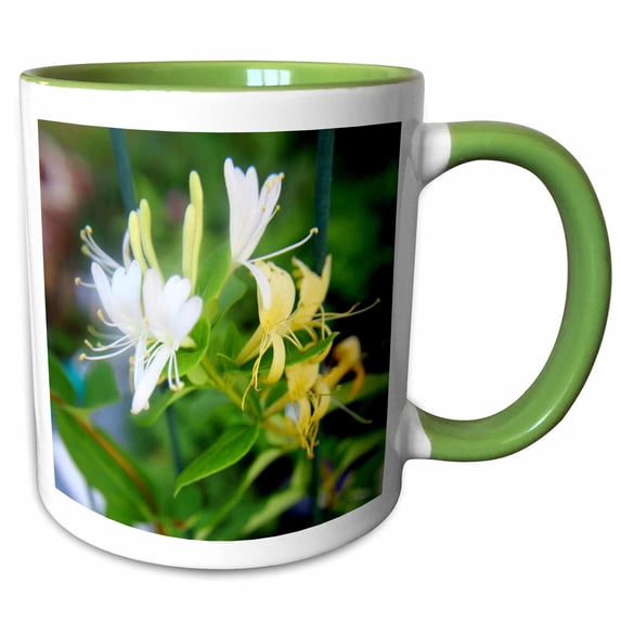 3drose, Extraordinarly Delicious Smelling Honeysuckle, 11oz Two-tone Green Mug
