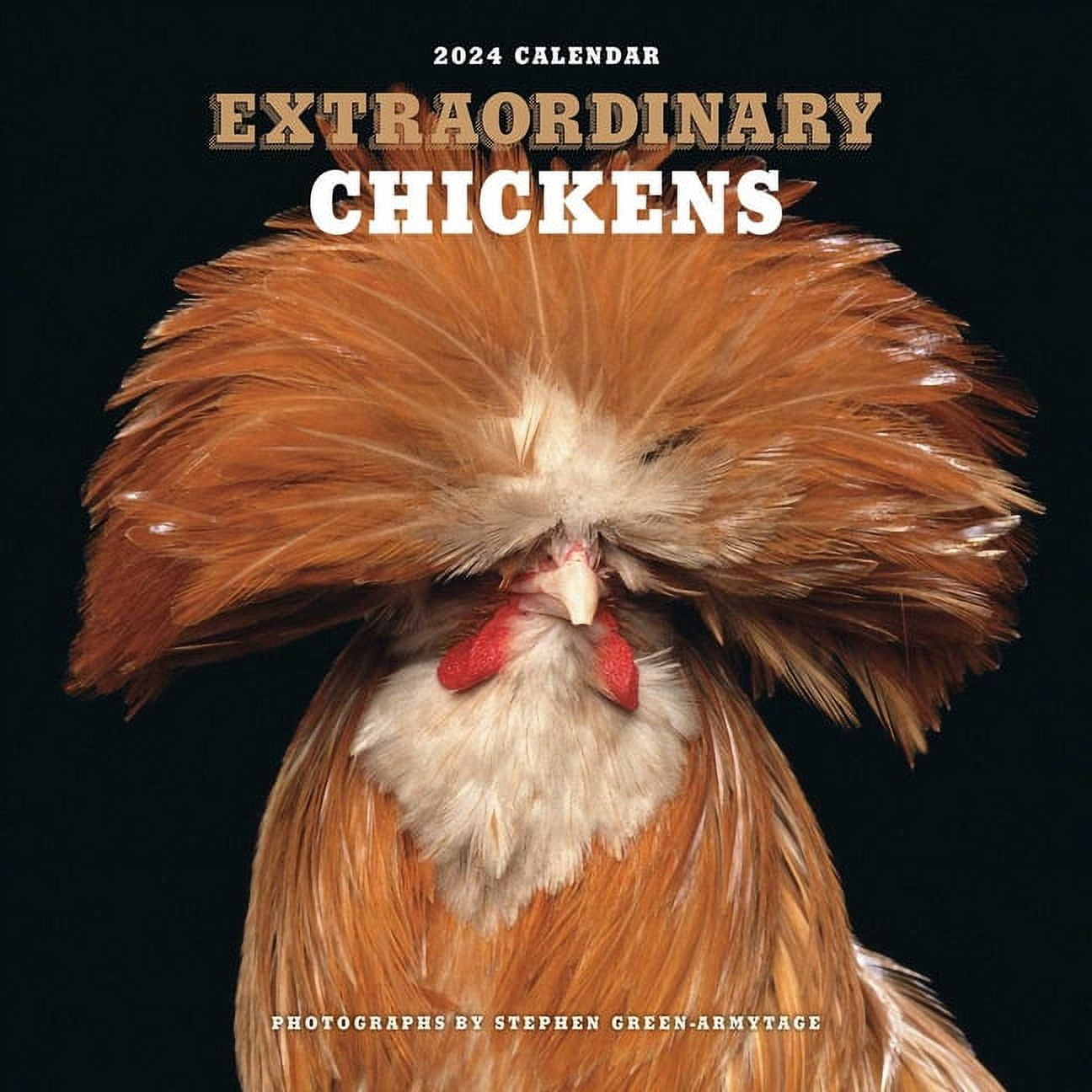 2025 Wall Calendar Chickens 2025
