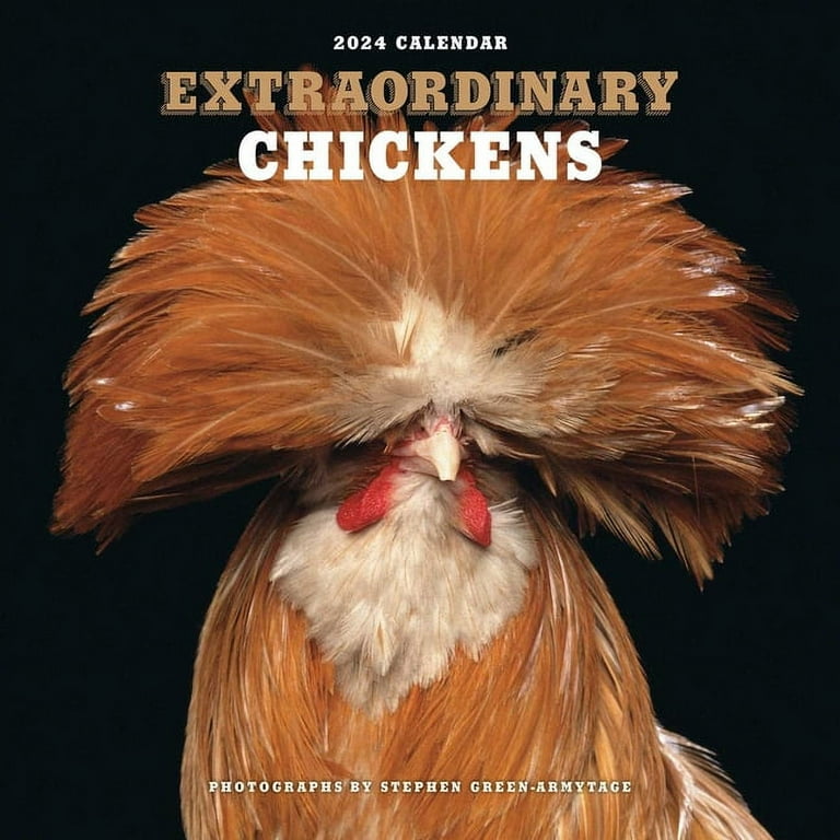 2025 Wall Calendar Chickens 2025