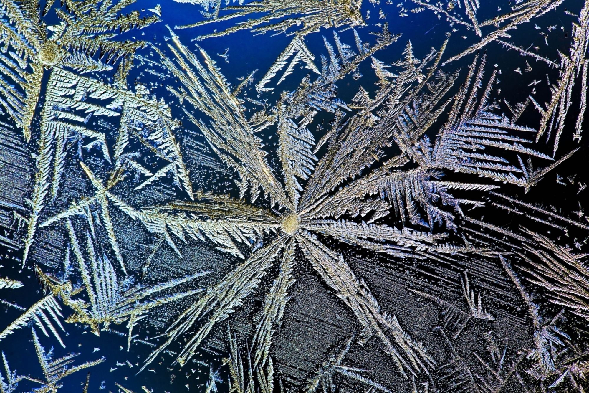 Extreme Close Up Of Frost Crystal With Colourful Lighting Calgary Alberta Canada Canvas Art - Michael Interisano Design Pics (20 x 13)