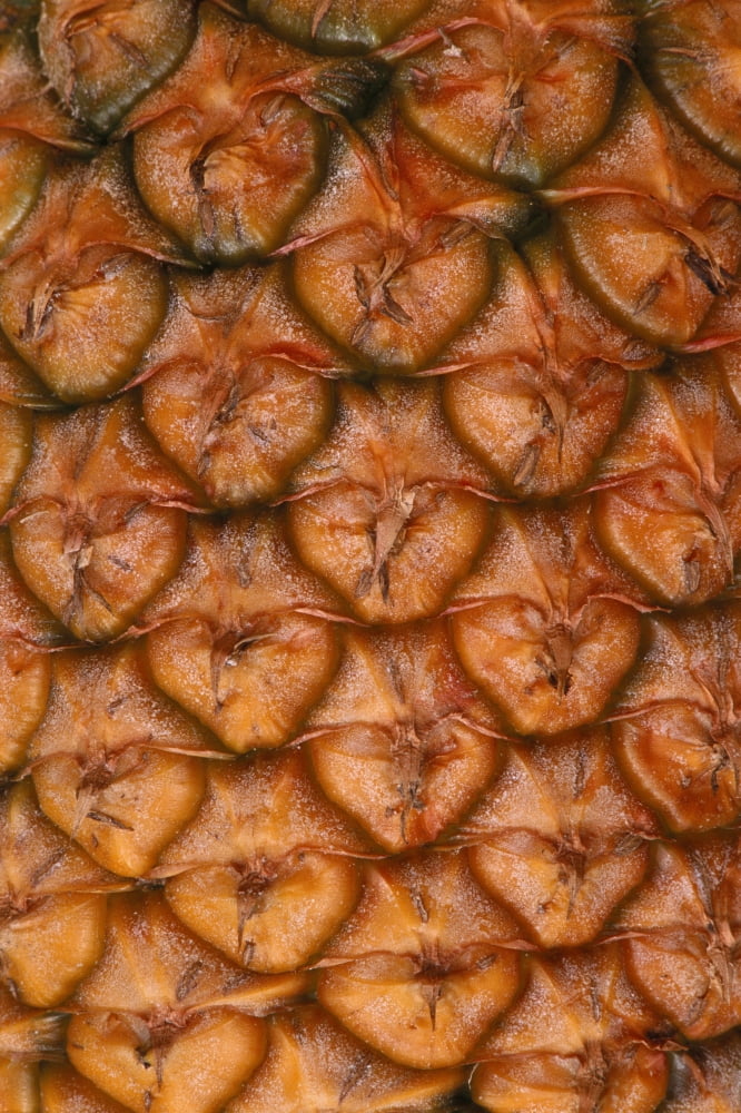 Extreme Close-Up Of Single Pineapple Fruit Skin Detail Canvas Art - Greg Vaughn Design Pics (12 x 19)