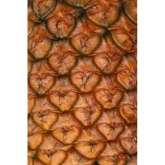 Extreme Close-Up Of Single Pineapple Fruit Skin Detail Canvas Art - Greg Vaughn Design Pics (24 x 38)