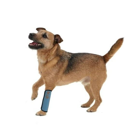 Extreme-Neoprene Joint Protective Reflective Pet Sleeves- Blue - Large