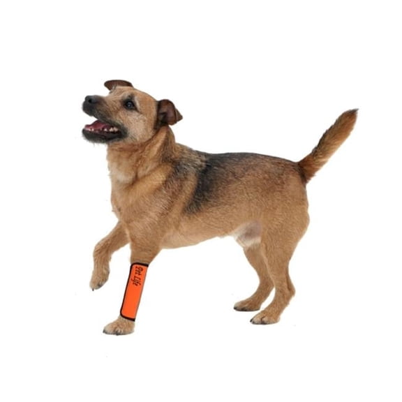 Extreme-Neoprene Joint Protective Reflective Pet Sleeves- Orange - Medium