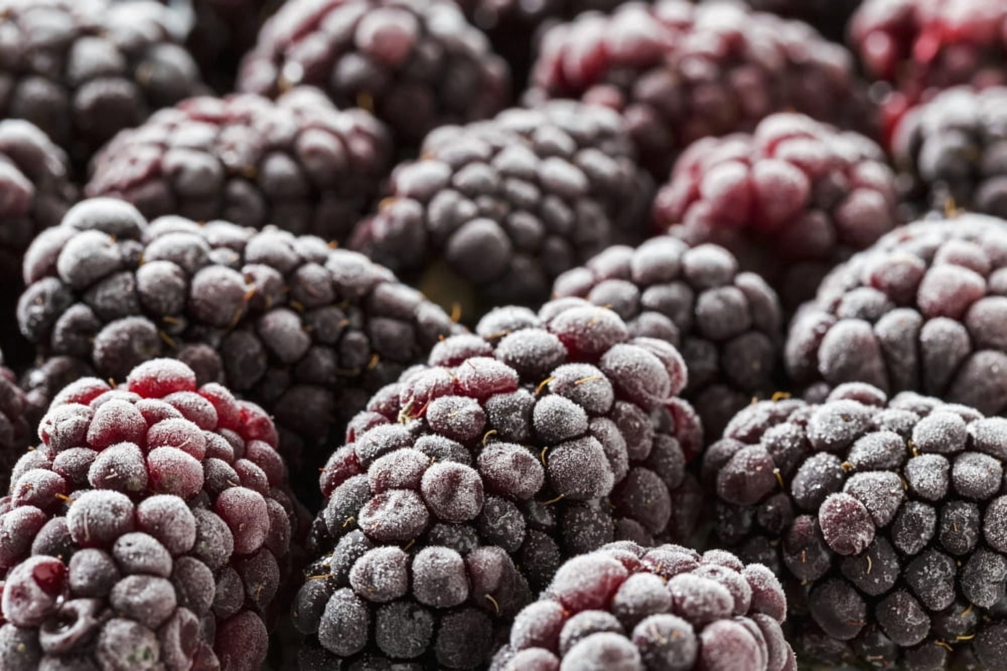 Extreme close up of frosted blackberries Calgary Alberta Canada Canvas Art - Michael Interisano Design Pics (38 x 24)