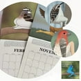 Extremely Accurate Birds 2025 Calendar, Anatomically Precise Birds