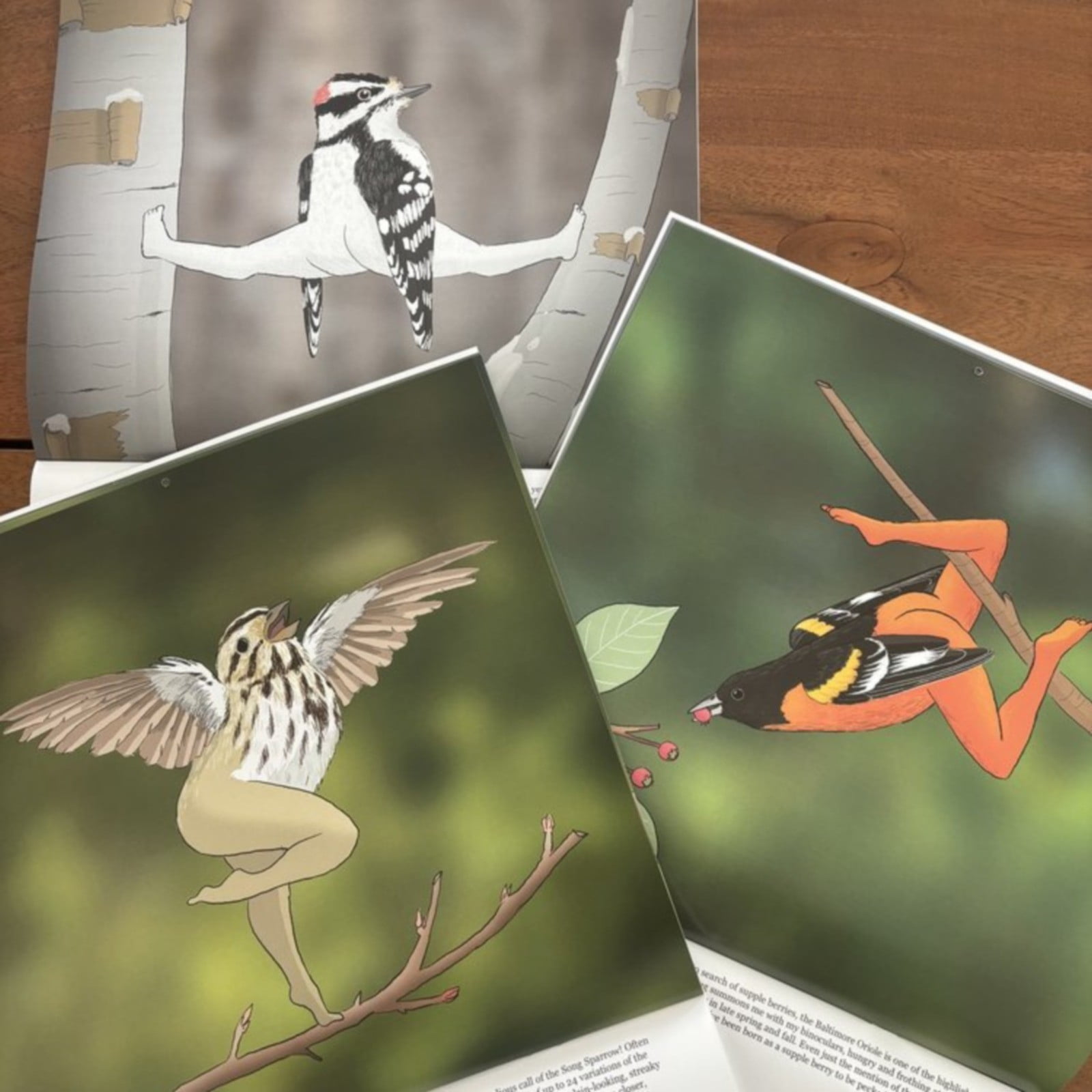 Extremely adequate bird calendar 2025 Bird Pattern Desk Calendar High