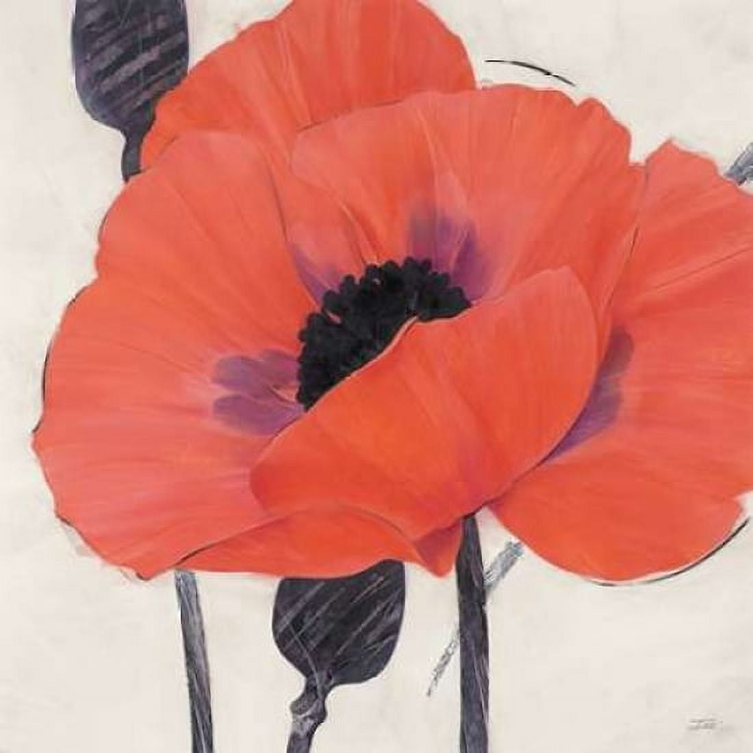 Exuberant Poppy Canvas Art - Ivo Stoyanov (24 x 24)
