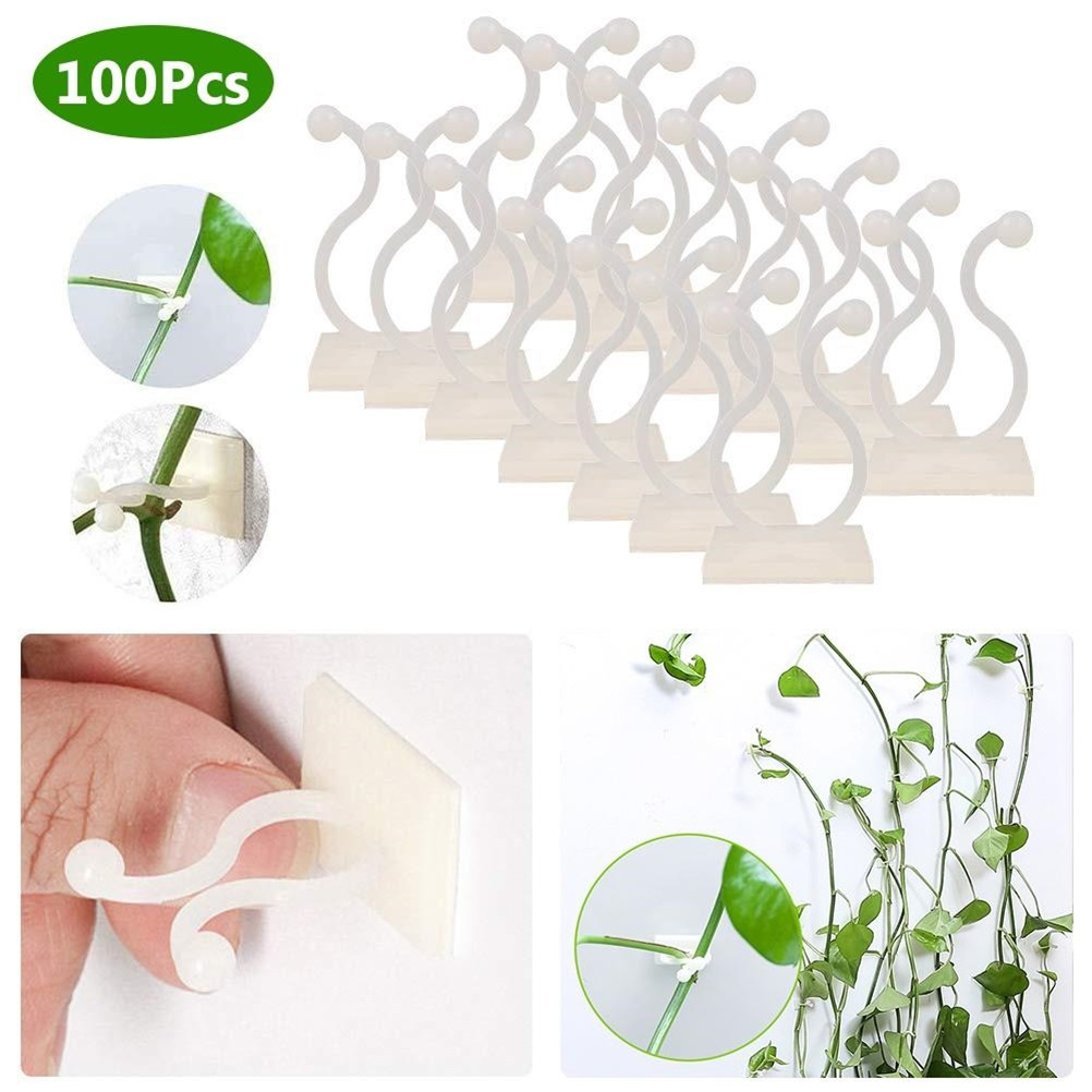 Eychin 100Pcs Climbing Plant Fixture Clips Garden Vines Sticky Clips